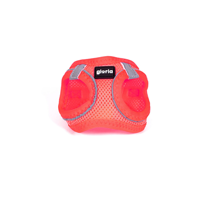 Product Λουρί Σκύλου Gloria 32,8-35,4 cm 45-47 cm Ροζ M base image