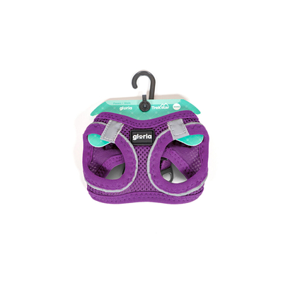 Product Λουρί Σκύλου Gloria Trek Star 32,8-35,4 cm 45-47 cm Μωβ M base image