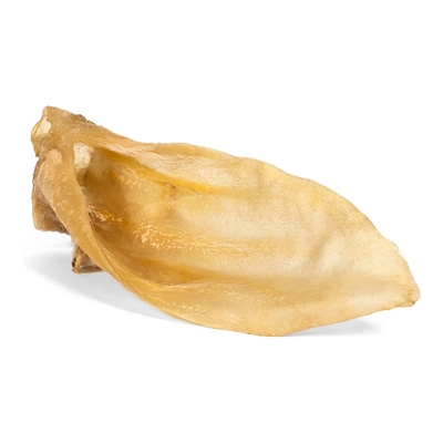 Product Σνακ για τον Σκύλο Gloria 50 Unidades Αυτιά Αρνί base image