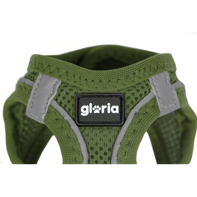 Product Λουρί Σκύλου Gloria 45-47 cm Πράσινο M 32,8-35,4 cm base image