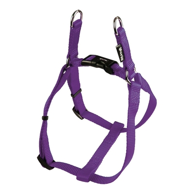 Product Λουρί Σκύλου Gloria Λείο Ρυθμιζόμενο 47-71 cm Μωβ Μέγεθος M base image