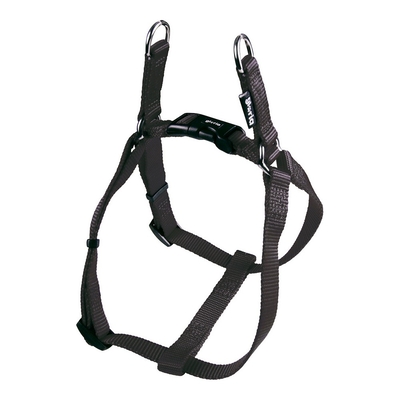 Product Λουρί Σκύλου Gloria Λείο Ρυθμιζόμενο 47-71 cm Μαύρο Μέγεθος M base image