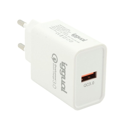 Product Φορτιστής Τοίχου iggual IGG317174 base image