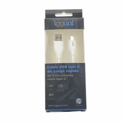 Product Φορτιστής Τοίχου iggual IGG317181 base image