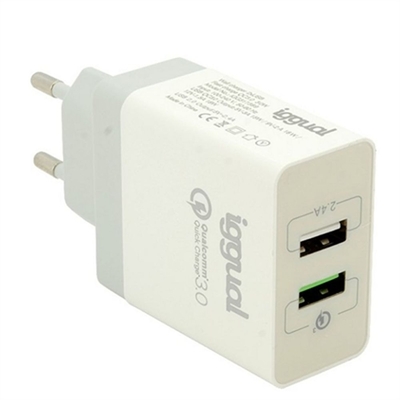 Product Φορτιστής Τοίχου iggual IGG317389 base image