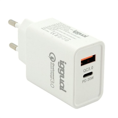 Product Φορτιστής Τοίχου iggual IGG317419 base image