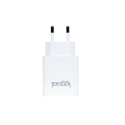 Product Φορτιστής Πρίζας iggual IGG318317 30 W base image