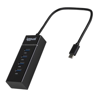 Product USB Hub iggual IGG319239 base image