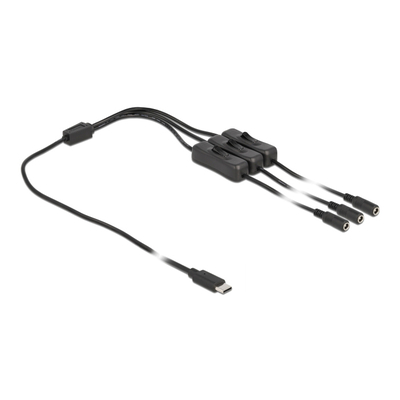 Product Καλώδιο USB Delock Type-C σε 3x DC 5.5 x 2.1mm 86801, 1m, μαύρο base image