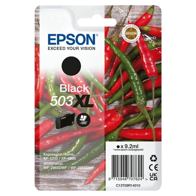 Product Αυθεντικό Μελάνι Epson C13T09R14020 Μαύρο base image
