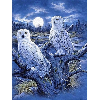 Product Παιδικές Χειροτεχνίες Norimpex Diamond Mosaic - White owls base image