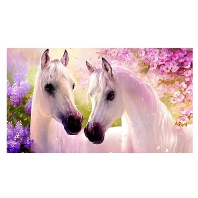 Product Παιδικές Χειροτεχνίες Norimpex Diamond Mosaic - White horses base image