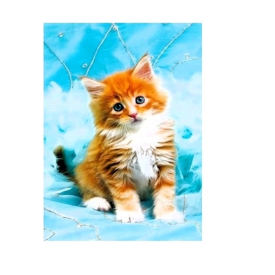 Product Παιδικές Χειροτεχνίες Norimpex Diamond Mosaic - Ginger kitten base image