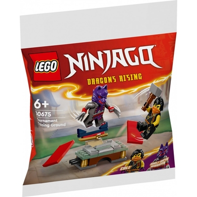 Product LEGO Bricks Ninjago 30675 Tournament Training Ground base image