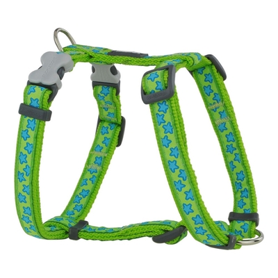 Product Λουρί Σκύλου Red Dingo Style Τυρκουάζ Αστέρι Πράσινο 37-61 cm base image