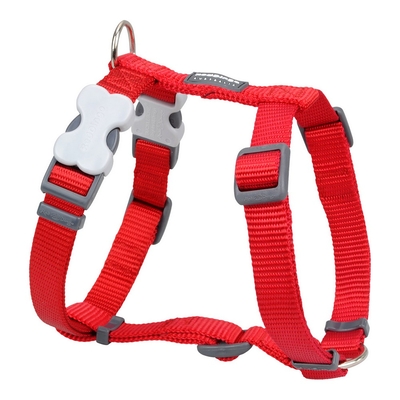 Product Λουρί Σκύλου Red Dingo Λείο 37-61 cm Κόκκινο base image
