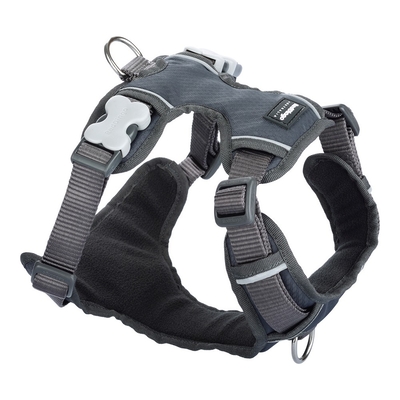 Product Λουρί Σκύλου Red Dingo Γεμισμένο Γκρι Μέγεθος L base image
