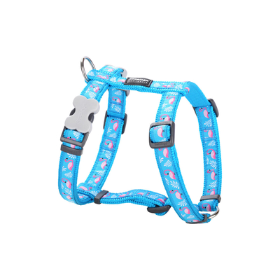 Product Λουρί Σκύλου Red Dingo Flamingo 25-39 cm Τυρκουάζ base image