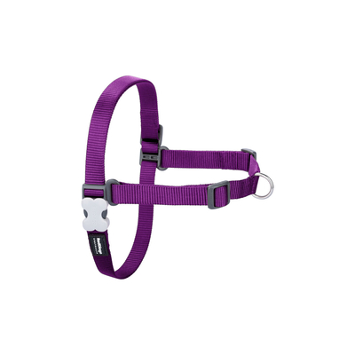 Product Λουρί Σκύλου Red Dingo 84-119 cm Μωβ XL base image