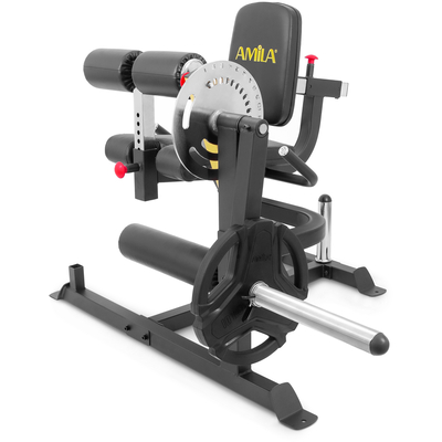 Product Μηχάνημα Leg Curl / Leg Extension Amila AX1030 base image