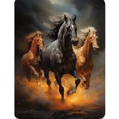 Product Παιδικές Χειροτεχνίες Norimpex Diamond Mosaic - Three Galloping Horse base image