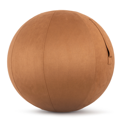 Product Κάλυμμα για Μπάλα Γυμναστικής Amila GYMBALL 65cm Sueded Καφέ base image