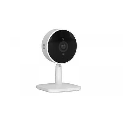 Product Κάμερα Παρακολούθησης Yale Intelligent indoor base image