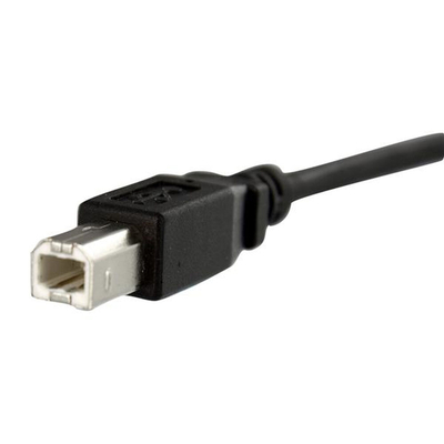 Product Καλώδιο USB Startech USBPNLBFBM1 USB B Μαύρο base image