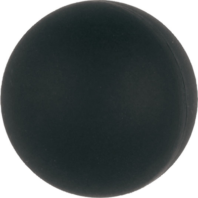 Product Ανταλλακτικό Μπαλάκι για Ρακέτες Neoprene Lion Ocean base image