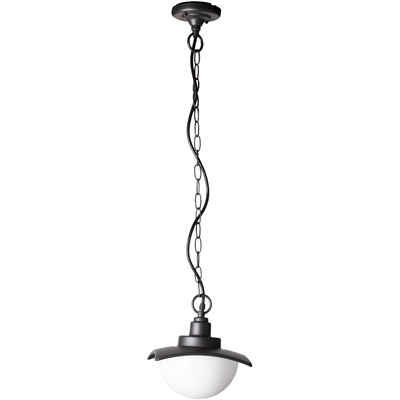 Product Κρεμαστό Φωτιστικό Οροφής Avide Exotica 1xE27 base image