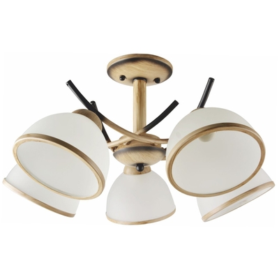 Product Κρεμαστό Φωτιστικό Οροφής Avide Brassik 5xE27 base image