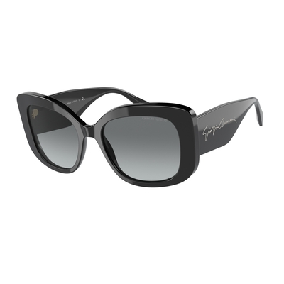 Product Αντρικά Γυαλιά Ηλίου Giorgio Armani Ar8150-500111 (53/18/140 mm) Black base image