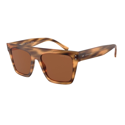 Product Unisex Γυαλιά Ηλίου Giorgio Armani Ar8177-592173 (52/20/140 mm) Brown base image