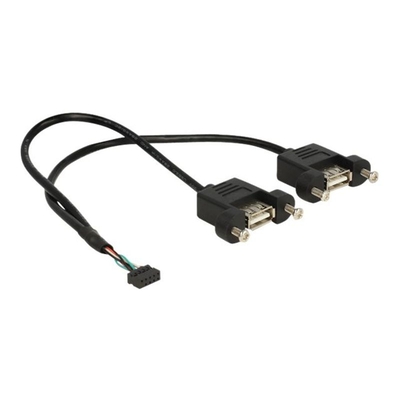 Product Καλώδιο USB DeLock intern to extern - 10-pin USB-Header to USB - 25 cm base image