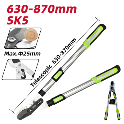 Product Ψαλίδι Κλάδου Deli Dl580423 για Κλαδιά Έως 25Mm, Πτυσσόμενο, 630-870Mm base image