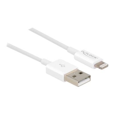 Product Καλώδιο USB DeLock Lightning - 1 m base image
