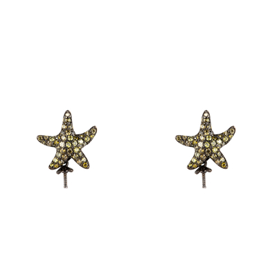 Product Γυναικείο Κολιέ Lancaster Jla-Ear-Star3 (1,2Mm) από Ασήμι Green/ Black base image