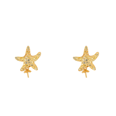 Product Γυναικείο Κολιέ Lancaster Jla-Ear-Star6 (1,2Mm) από Ασήμι Gold base image