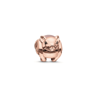 Product Γυναικείο Κολιέ Thomas Sabo K0197-417-9 (1,3cm) από Ασήμι Pink Gold base image