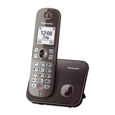 Product Ασύρματο Τηλέφωνο Panasonic KX-TG6851GRA Καφέ base image