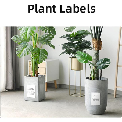 Product Αυτοκόλλητες Ετικέτες Ρολό Niimbot 50*70-110 White base image