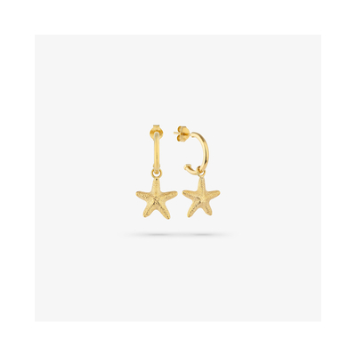 Product Γυναικεία Σκουλαρίκια Radiant Ry000137 (2cm) από Ατσάλι Golden base image