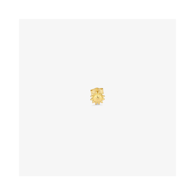 Product Γυναικεία Σκουλαρίκια Radiant Ry000155 (1cm) από Ατσάλι Golden base image