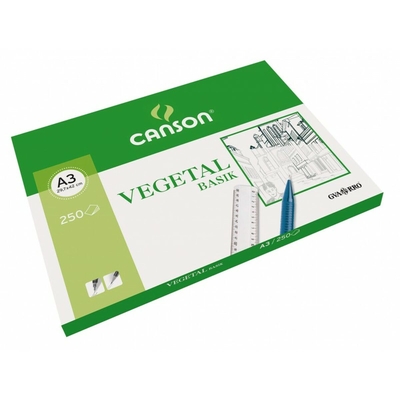 Product Ριζόχαρτα Canson Basik 250 Φύλλα 90 g/m² 29,7 x 42 cm base image