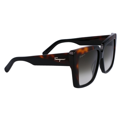 Product Γυναικεία Γυαλιά Ηλίου Ferragamo Sf1060S-6 (55/14/140 mm) Black base image