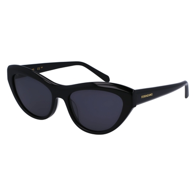 Product Γυναικεία Γυαλιά Ηλίου Ferragamo Sf1103S551700 (55/17/140 mm) Black base image