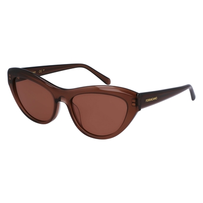 Product Γυναικεία Γυαλιά Ηλίου Ferragamo Sf1103S551723 (55/17/140 mm) Brown base image
