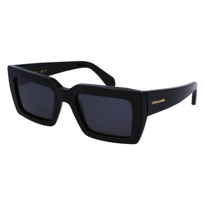 Product Γυναικεία Γυαλιά Ηλίου Ferragamo Sf1108S542100 (54/21/140 mm) Black base image