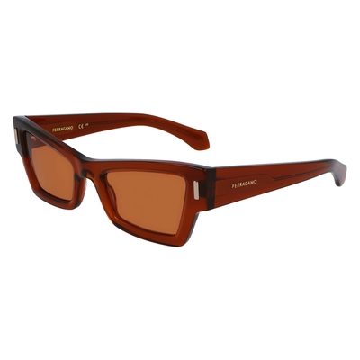 Product Γυναικεία Γυαλιά Ηλίου Ferragamo Sf2006S-232 (53/23/140 mm) Brown base image