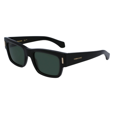 Product Αντρικά Γυαλιά Ηλίου Ferragamo Sf2011S-001 (53/21/140 mm) Black base image